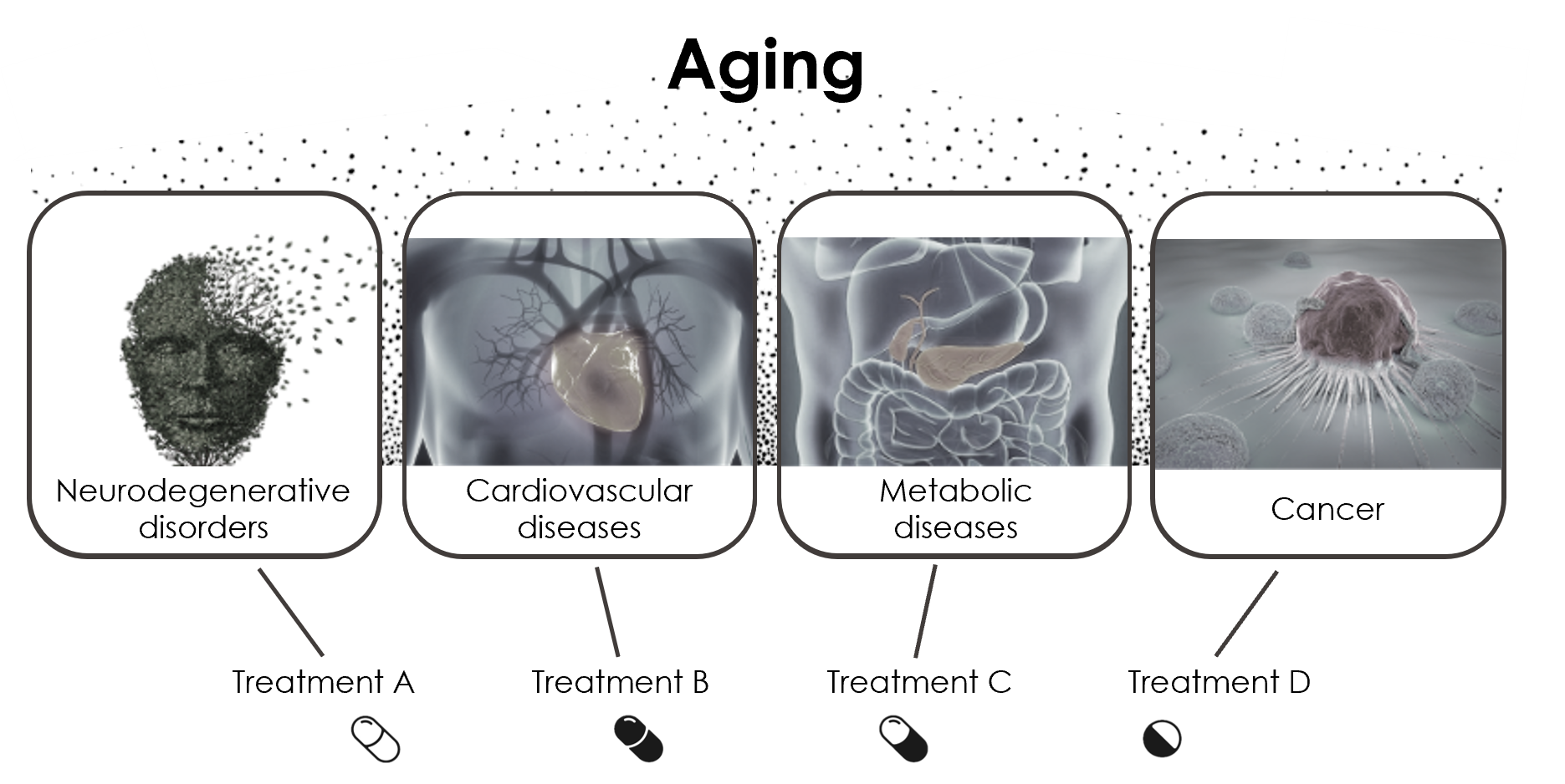 Illustration related to healthspan extension