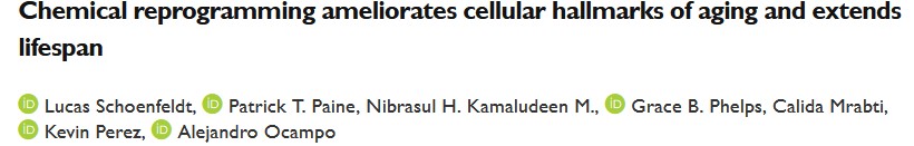 Schoenfeldt et al. paper